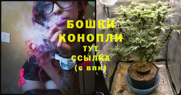 мяу мяу мука Кодинск