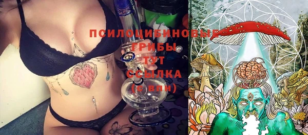 гидра Козельск