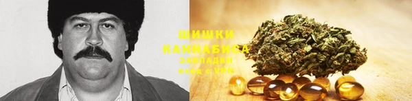 тгк Коряжма