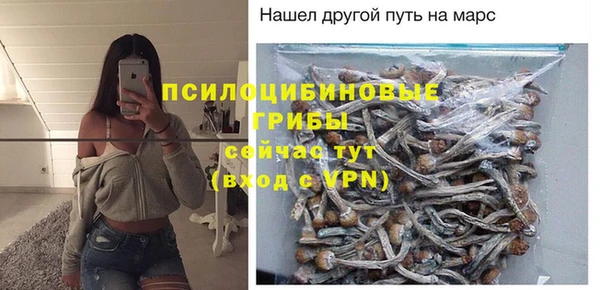 гидра Козельск