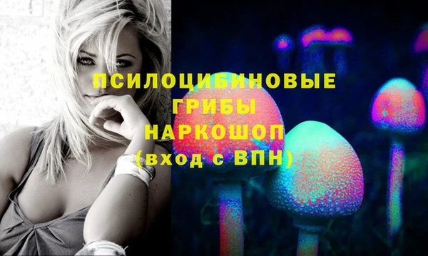 СК Козловка