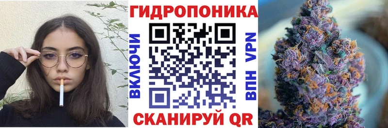 Бошки Шишки план  Михайловка 
